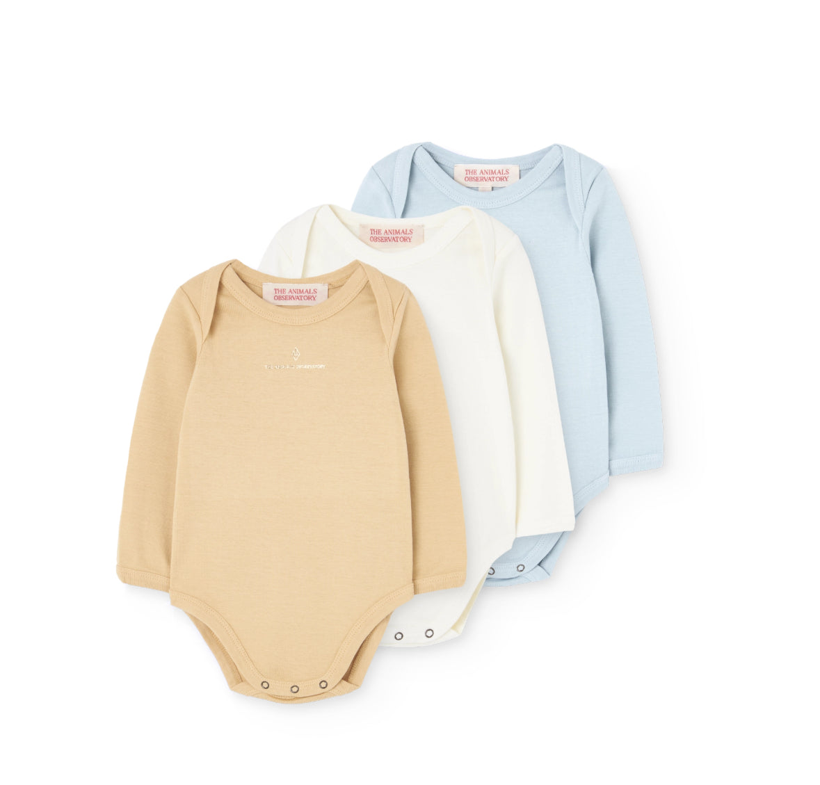 THE ANIMALS OBSERVATORY - Pack 3 body Wasp