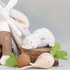 PAMPLEMOUSSE PELUCHES - Peluche Aglaé le canard