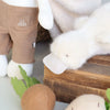 PAMPLEMOUSSE PELUCHES - Peluche Aglaé le canard