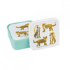 PETIT JOUR X LUCAS DU TERTRE - Set 3 lunch box Jaguars